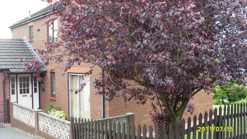 Bed and Breakfast Briardale Lazonby Exterior foto